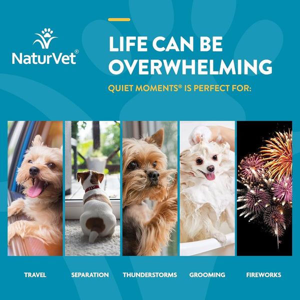 NaturVet Quiet Moments Calming Aid Plus Melatonin for Dogs