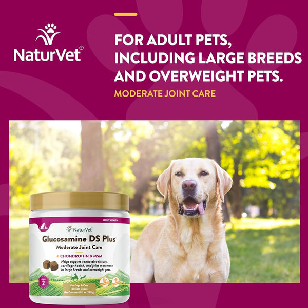 NaturVet Glucosamine DS Plus Level 2 Soft Chews with Chondroitin & MSM for Dogs & Cats