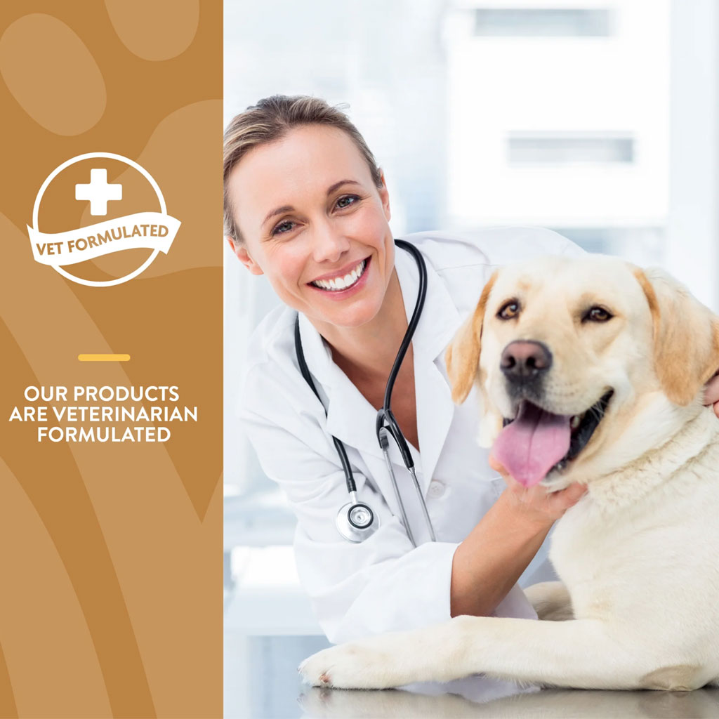 NaturVet Salmon Oil Daily Support + Omegas for Dogs & Cats