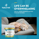 NaturVet Quiet Moments Calming Aid Plus Melatonin Soft Chews for Cats