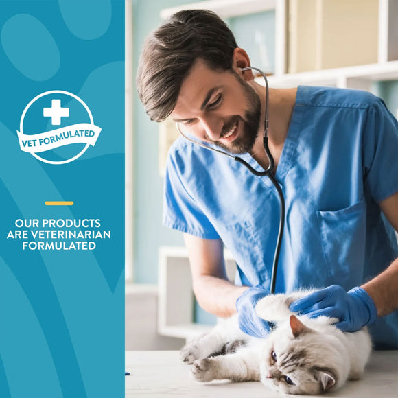 NaturVet Quiet Moments Calming Aid Plus Melatonin Soft Chews for Cats