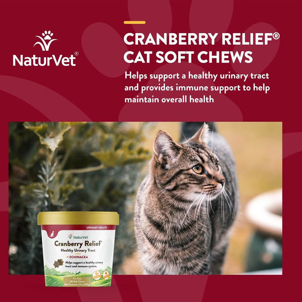 NaturVet Cranberry Relief Plus Echinacea Soft Chew Urinary Supplement for Cats