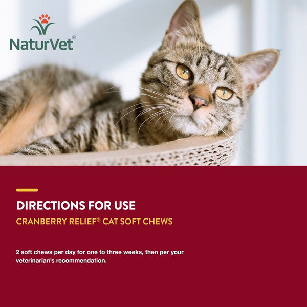 NaturVet Cranberry Relief Plus Echinacea Soft Chew Urinary Supplement for Cats Direction