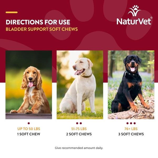 NaturVet Bladder Support Daily Maintenance with Cranberry Soft Chews for Dogs