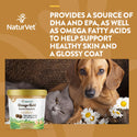 NaturVet Omega-Gold Essential Fatty Acids with Salmon Oil for Dogs & Cats