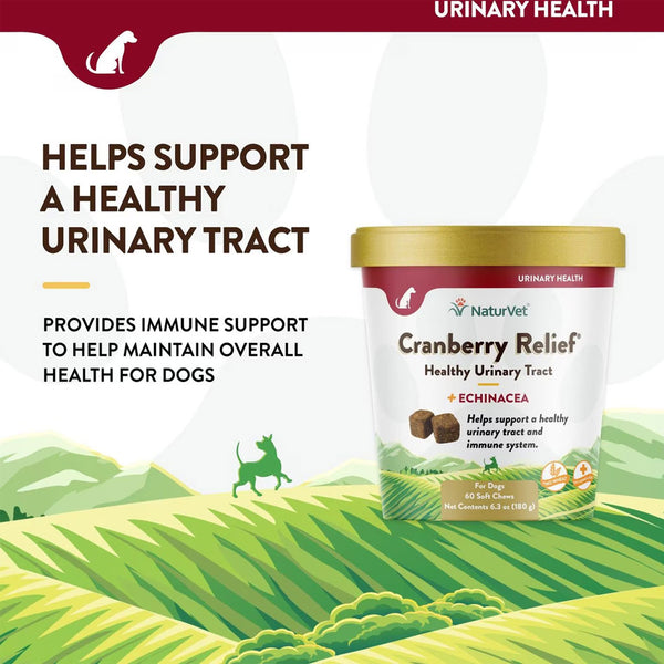 NaturVet Cranberry Relief Plus Echinacea Soft Chew Urinary Supplement for Dogs