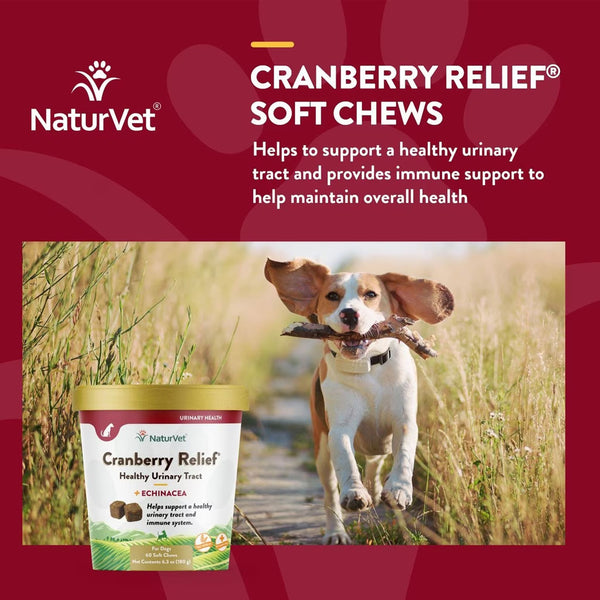 NaturVet Cranberry Relief Plus Echinacea Soft Chew Urinary Supplement for Dogs