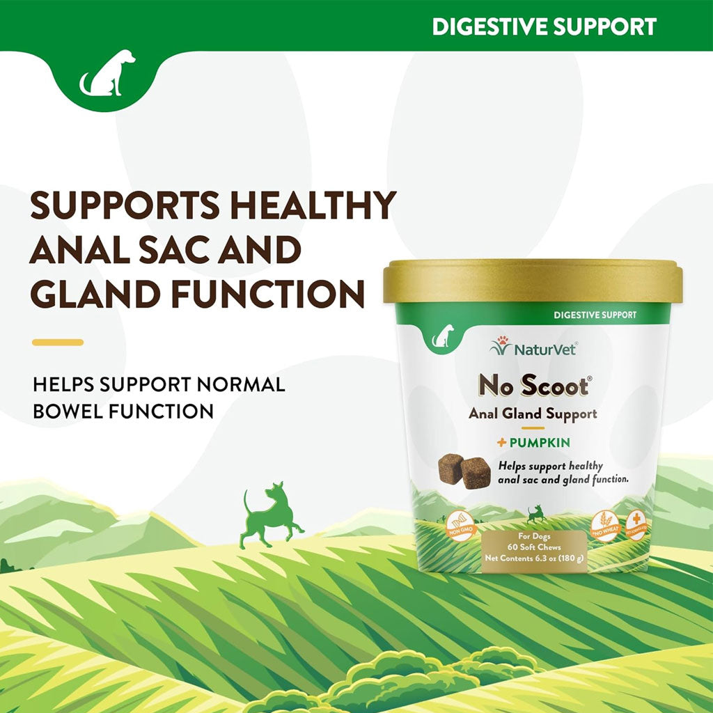 NaturVet No Scoot Soft Chews: Anal Gland Support for Dogs