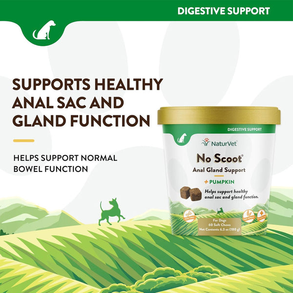 NaturVet No Scoot Soft Chews Anal Gland Support with Pumpkin for Dogs