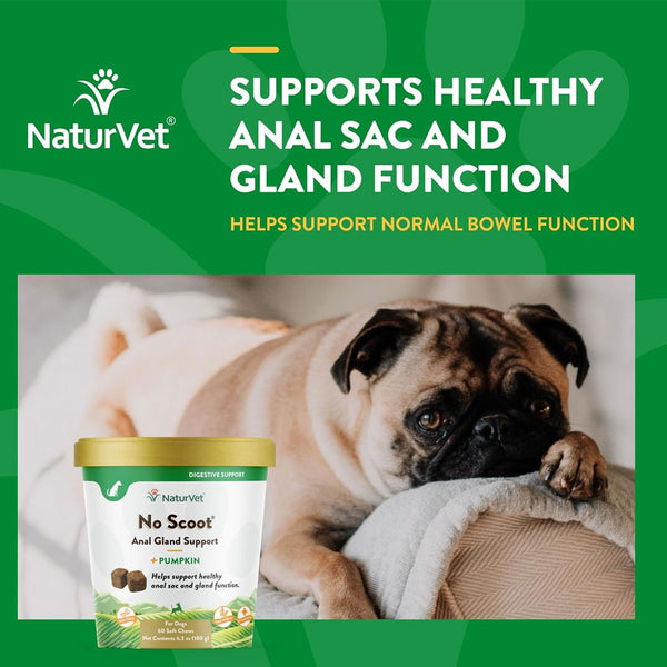 NaturVet No Scoot Soft Chews Anal Gland Support with Pumpkin for Dogs