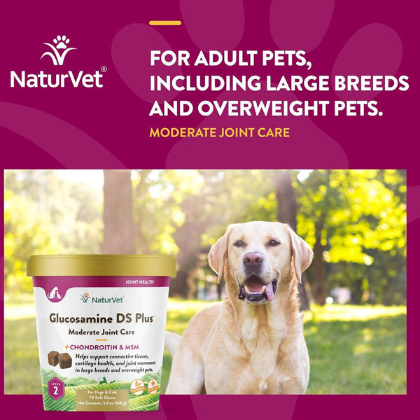 NaturVet Glucosamine DS Plus Level 2 Soft Chews with Chondroitin & MSM for Dogs & Cats