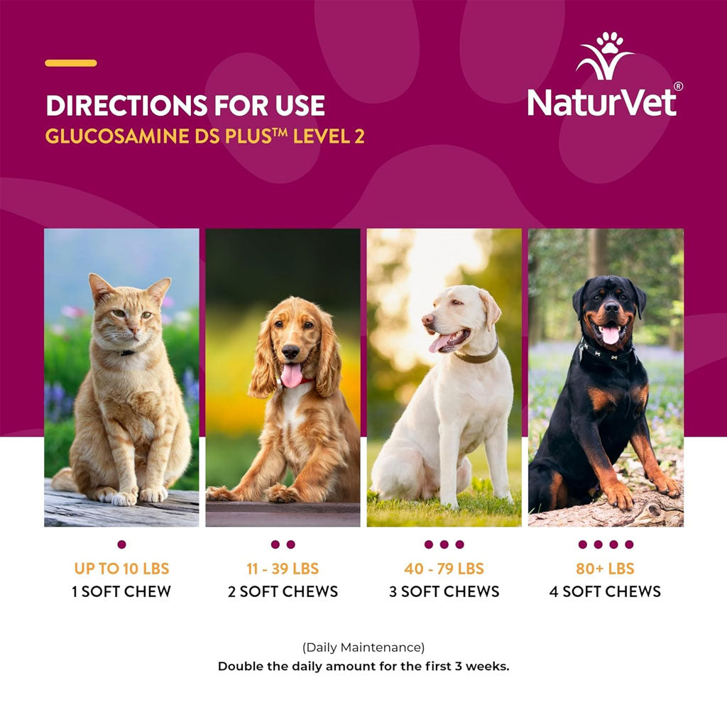 NaturVet Glucosamine DS Plus Level 2 Soft Chews with Chondroitin & MSM for Dogs & Cats