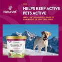 NaturVet Glucosamine DS Level 1 Soft Chews with Chondroitin for Dogs & Cats