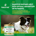 NaturVet Digestive Enzymes Soft Chews Daily Digestive Support Plus Pre & Probiotic for Dogs