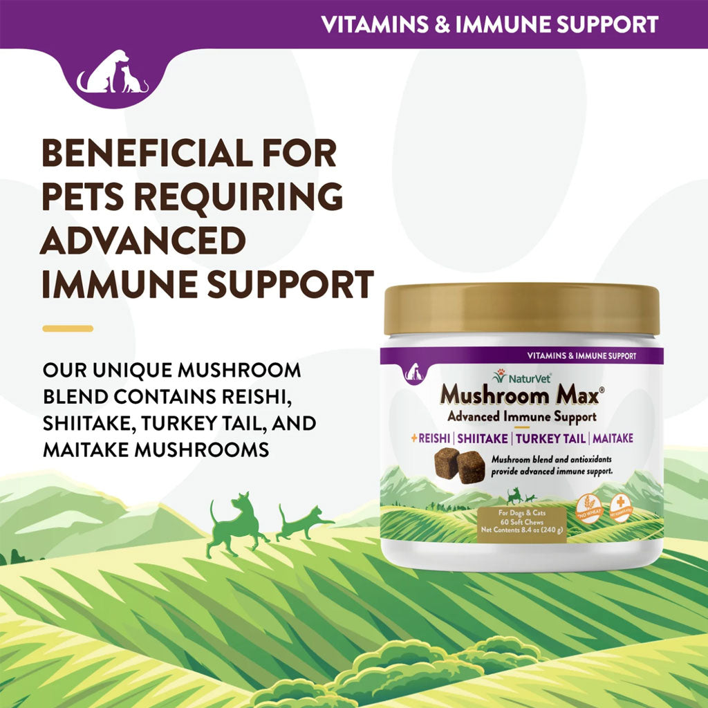 NaturVet Mushroom Max Advanced Immune Support Soft Chews