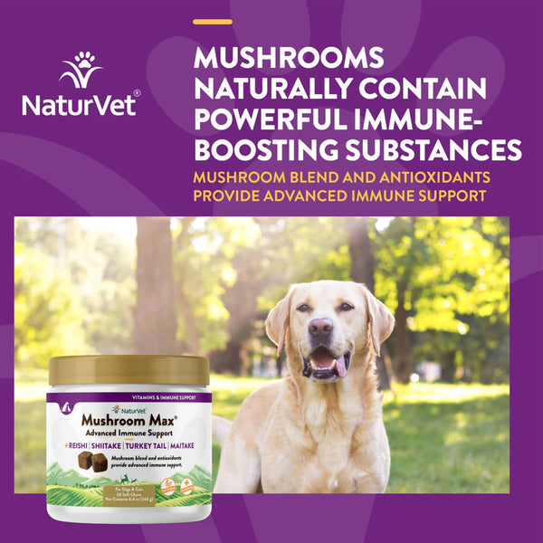 NaturVet Mushroom Max Advanced Immune Support Soft Chews