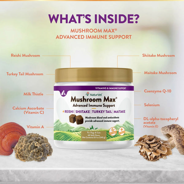 NaturVet Mushroom Max Advanced Immune Support Soft Chews