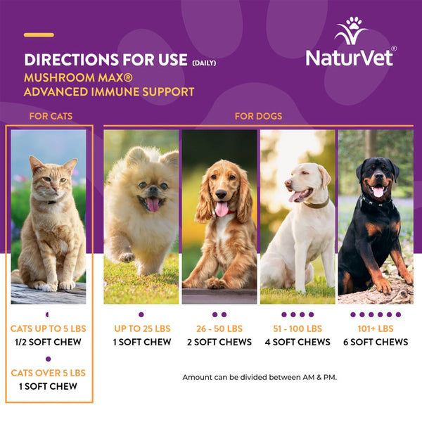 NaturVet Mushroom Max Advanced Immune Support Soft Chews