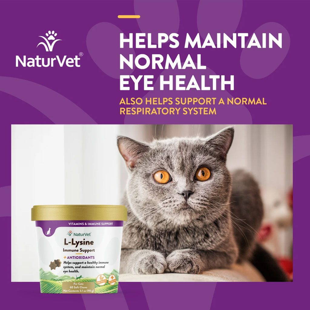 NaturVet L-Lysine Immune Support + Antioxidants Soft Chews for Cats