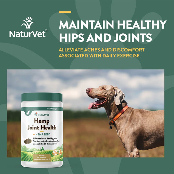 NaturVet Hemp Joint Health Plus Hemp Seed Soft Chews for Dogs