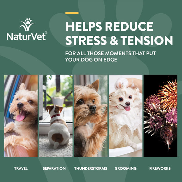 NaturVet Hemp Quiet Moments Plus Hemp Seed Soft Chews for Dogs