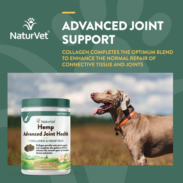 NaturVet Hemp Advanced Joint Health Soft Chews for Dogs