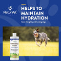 NaturVet Pet Electrolyte Concentrate for Dogs & Cats