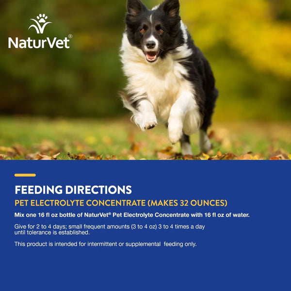 NaturVet Pet Electrolyte Concentrate for Dogs & Cats