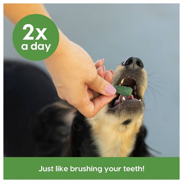 Ark Naturals 4-in-1 Sensitive Gums Brushless Toothpaste Dental Chews for Small Dogs (4.1 oz)