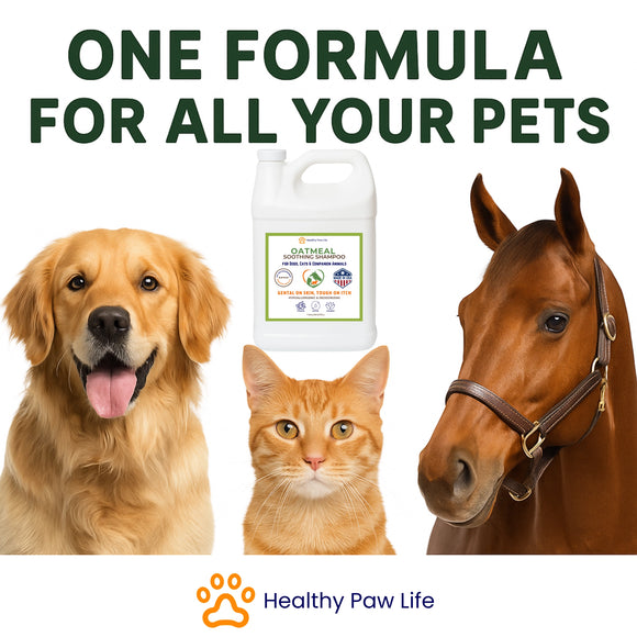 Healthy Paw Life Oatmeal Soothing Shampoo for Dogs, Cats & Companion Animals, 1-gallon