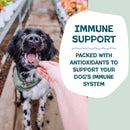 Shameless Pets Blueberried Treasure Soft Baked Treats For Dogs (6 oz)-6