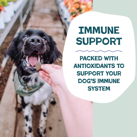 Shameless Pets Blueberried Treasure Soft Baked Treats For Dogs (6 oz)