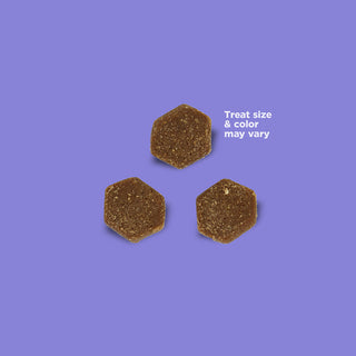 NutriSource Little Bites Grain Free with Peanut Butter Free Dog Treats