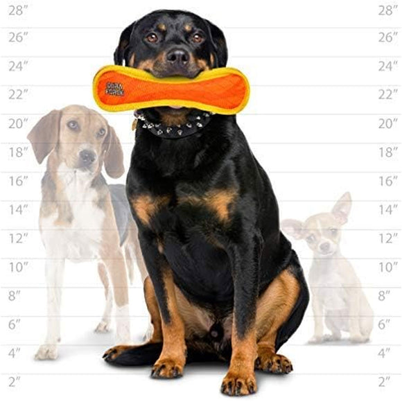 Dog holding a toy with a size chart in the background