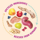 Health Extension Impawfect Pumpkin & Ginger for Digestive Support Treats for Dogs