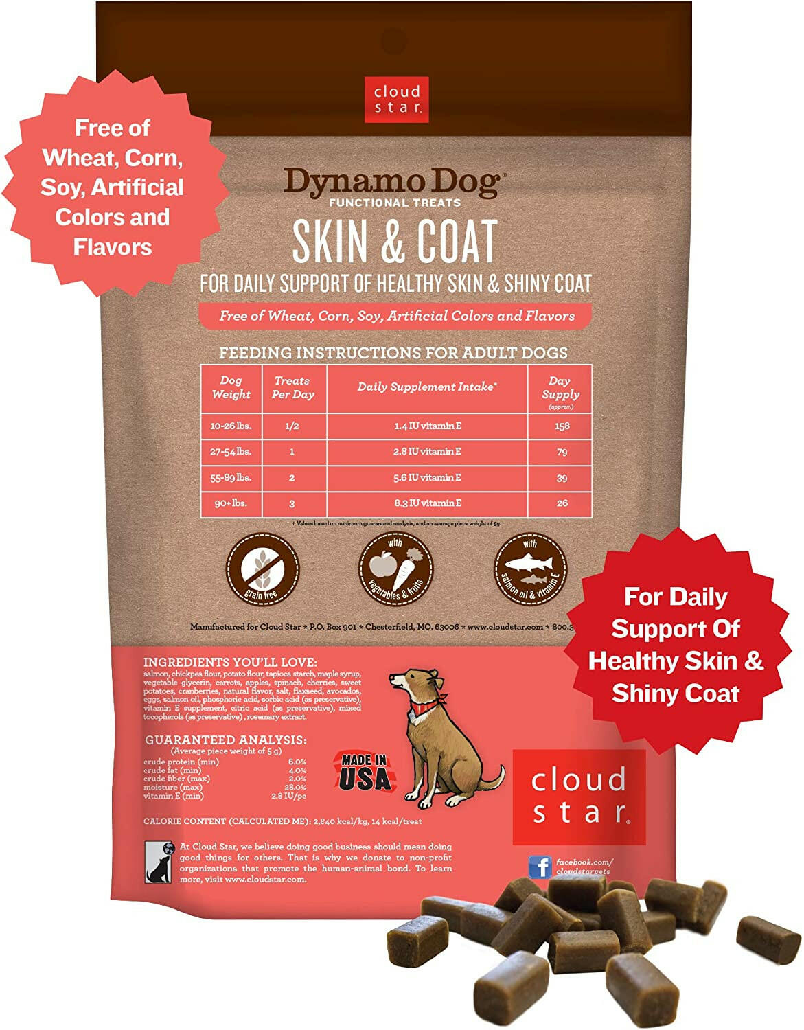 Cloud Star Dynamo Dog Functional Skin & Coat Salmon Soft Chews