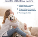 Rx Vitamins Rx Renal Canine Kidney Support For Dogs (120 capsules)