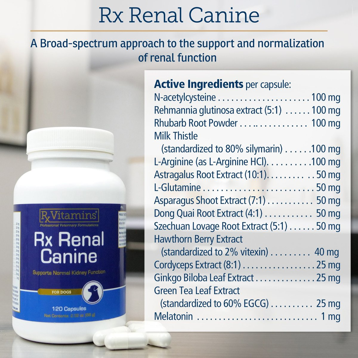 Rx Vitamins Rx Renal Canine Kidney Support For Dogs (120 capsules)