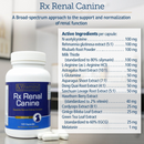Rx Vitamins Rx Renal Canine Kidney Support For Dogs (120 capsules)-5