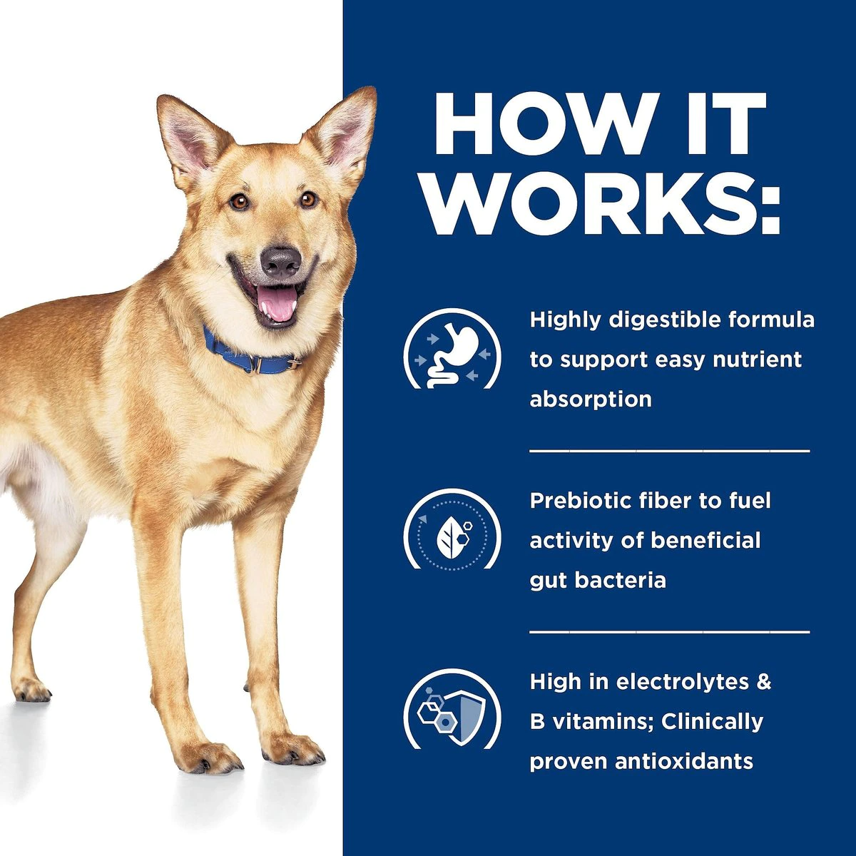 Hill's prescription dog food i/d is high in electrolytes and b vitamins