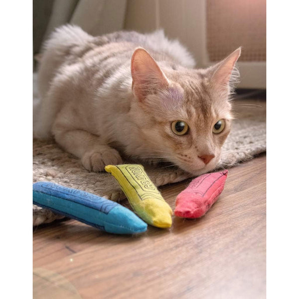 Yeowww!-ola Crayons Catnip Cat Toy