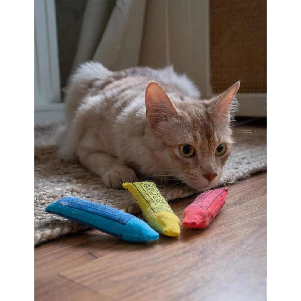 Yeowww!-ola Crayons Catnip Cat Toy