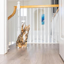 Ethical Pet Spot A-Door-Able Bouncing Mouse Catnip Toy