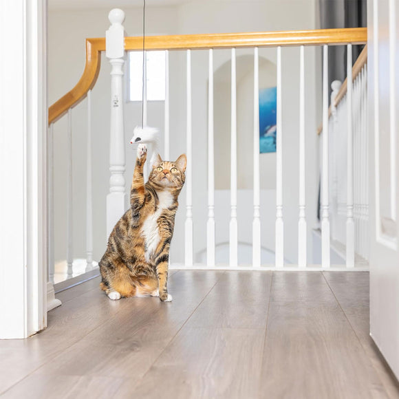 Ethical Pet Spot A-Door-Able Bouncing Mouse Catnip Toy