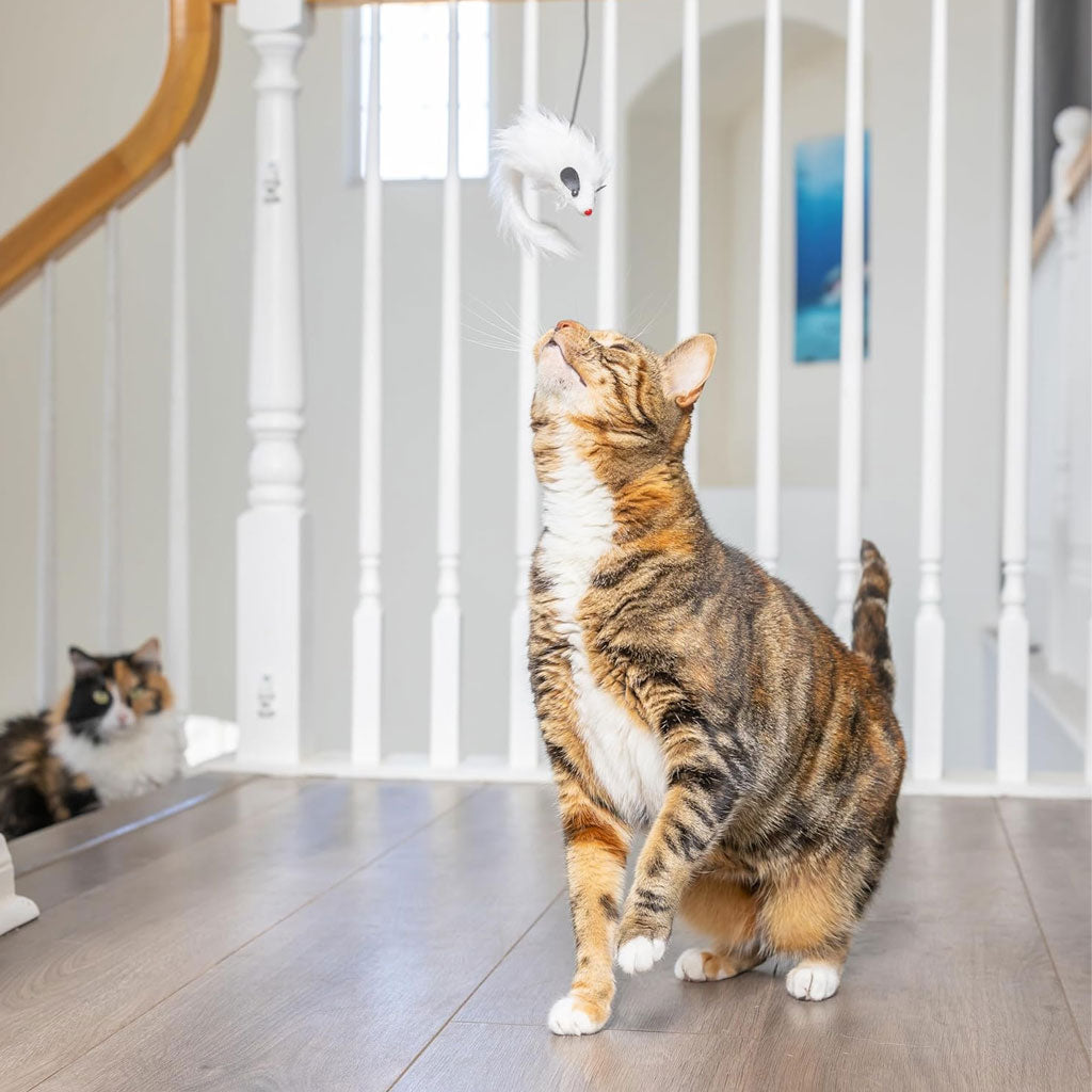 Ethical Pet A-Door-Able Bouncing Mouse Toy