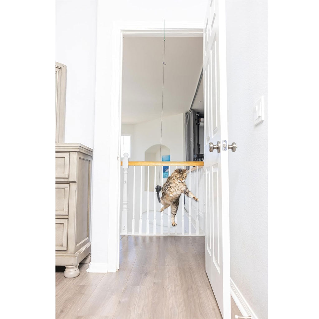 【ハッピーキャットさん専用】G㉚アジサイ「やまびこ」10.5cmポット KAMO Ethical Pet A-Door-Able Bouncing Mouse Toy