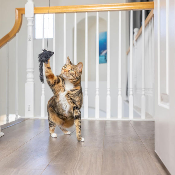 Ethical Pet Spot A-Door-Able Bouncing Mouse Catnip Toy