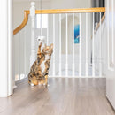 Ethical Pet Spot A-Door-Able Bouncing Mouse Catnip Toy