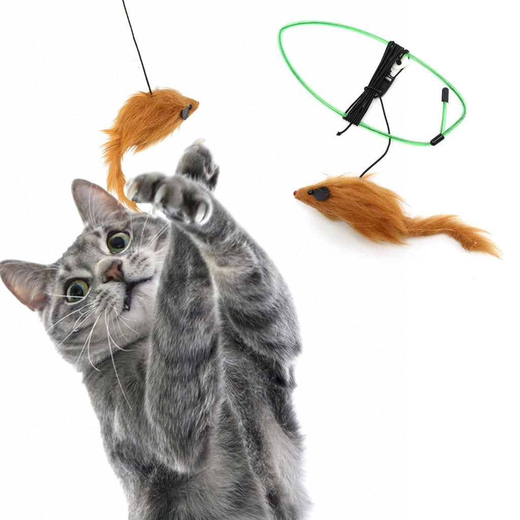 Ethical Pet A-Door-Able Bouncing Mouse Toy