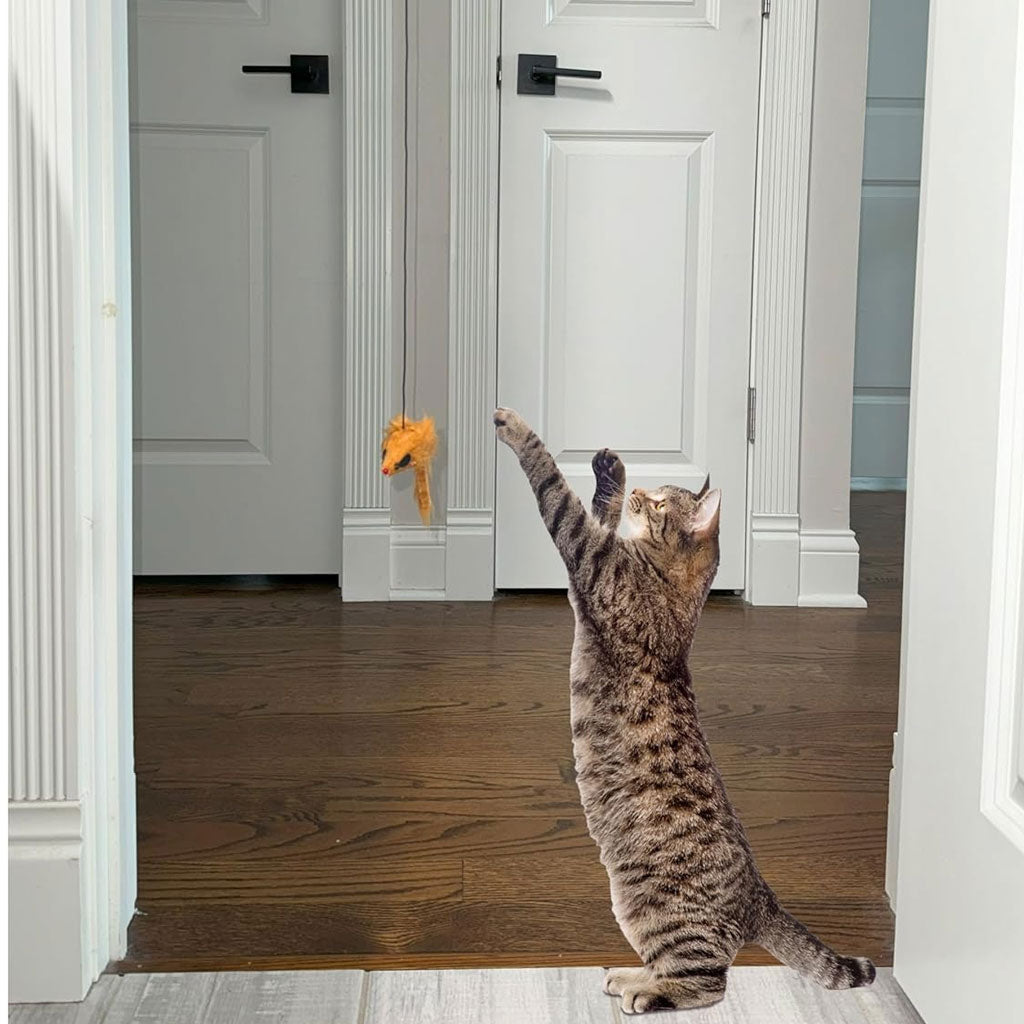 猫A Ethical Pet A-Door-Able Bouncing Mouse Toy